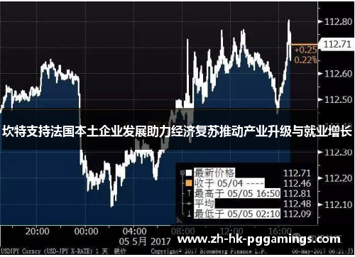 坎特支持法国本土企业发展助力经济复苏推动产业升级与就业增长