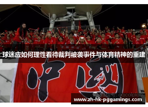 球迷应如何理性看待裁判被袭事件与体育精神的重建