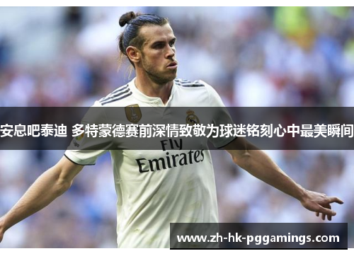 安息吧泰迪 多特蒙德赛前深情致敬为球迷铭刻心中最美瞬间