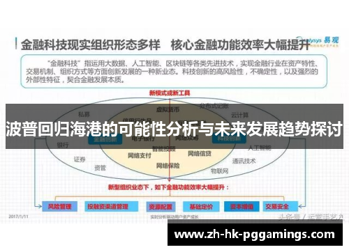 波普回归海港的可能性分析与未来发展趋势探讨