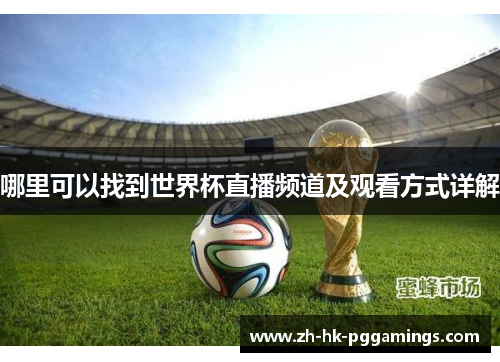 哪里可以找到世界杯直播频道及观看方式详解