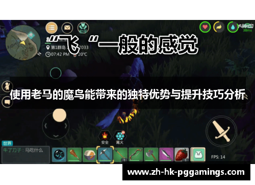 使用老马的魔鸟能带来的独特优势与提升技巧分析