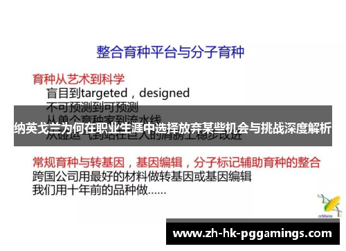纳英戈兰为何在职业生涯中选择放弃某些机会与挑战深度解析