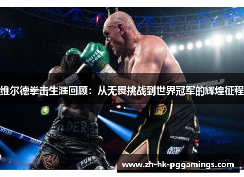 维尔德拳击生涯回顾：从无畏挑战到世界冠军的辉煌征程