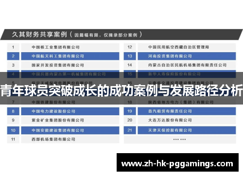 青年球员突破成长的成功案例与发展路径分析